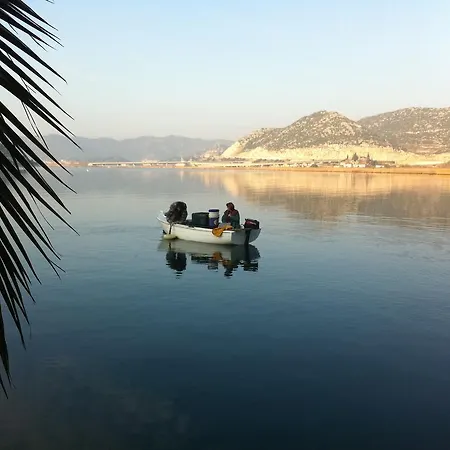 Damic * بلوتشي